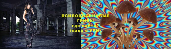 кокс Арсеньев